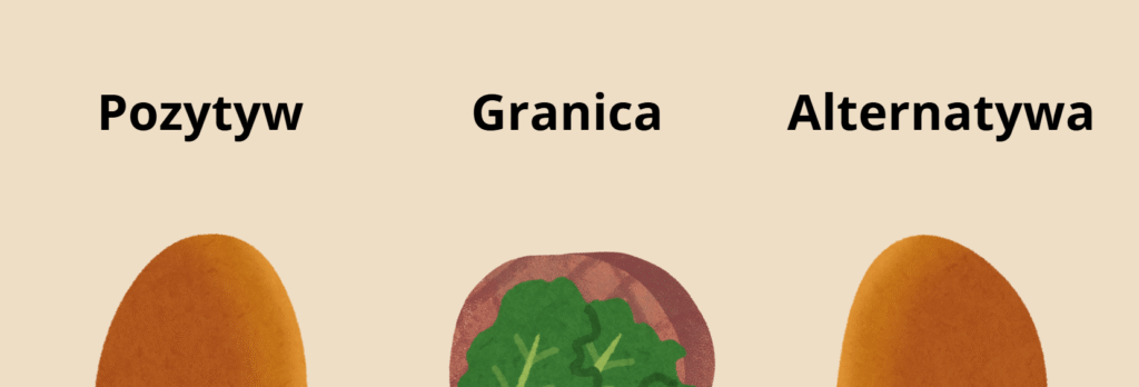 Schemat kanapki feedbackowej